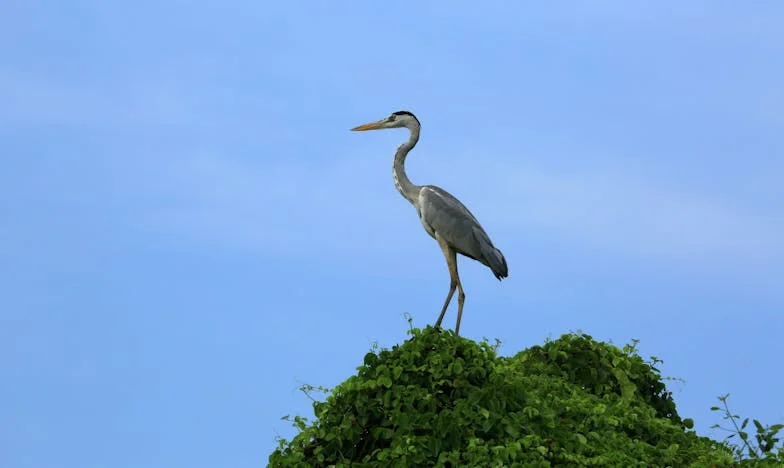 À mi-vie, j’ai découvert que mes enfants n’étaient pas les miens