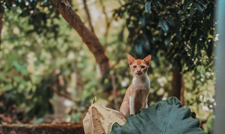 « Ce matin-là, tout a basculé : confession d’une mère oubliée »