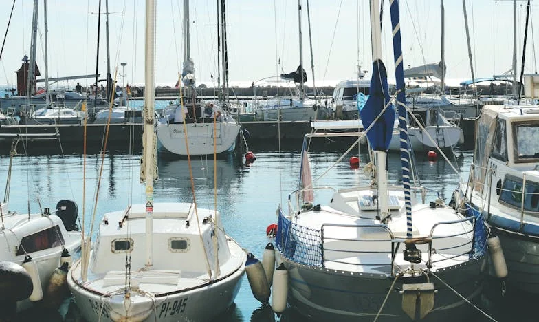 Entre deux feux : quand l'amour d'un fils détruit une famille