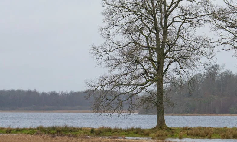 Entre Deux Mondes : Quand Mon Mari Devient un Étranger dans Notre Propre Vie