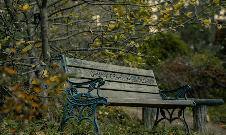 Entre loyauté et bonheur : Le prix amer des obligations familiales