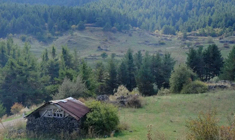 « Fais ta valise et viens tout de suite ! » – Comment ma belle-mère a pris le contrôle de notre vie