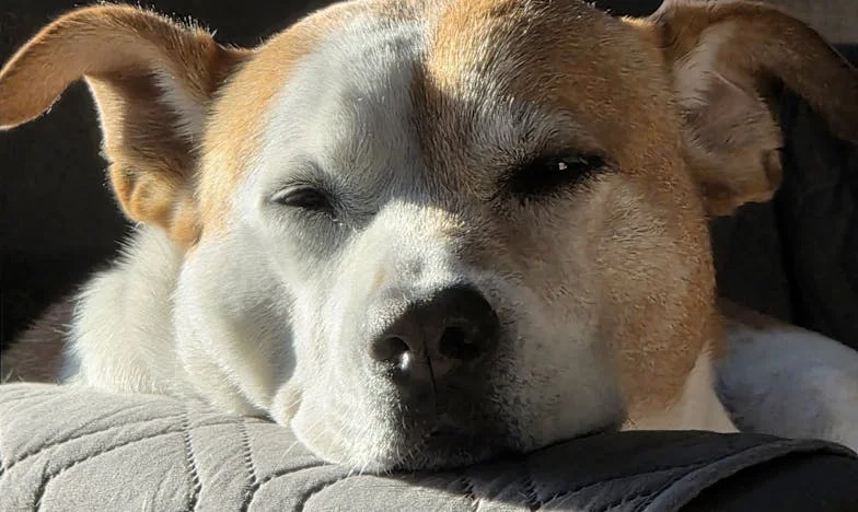 J'ai donné mon argent d'anniversaire pour aider Julien : comment un geste d’enfant a bouleversé tout notre quartier