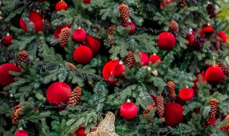 J'ai fermé les yeux sur sa trahison – jusqu'à ce que la chute me réveille