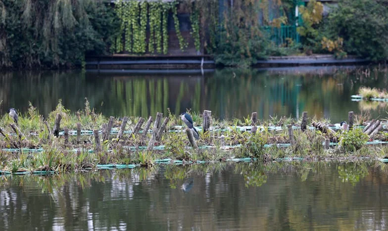 J'ai trouvé une épaule plus chaude – histoire de trahison, de famille et de quête de soi