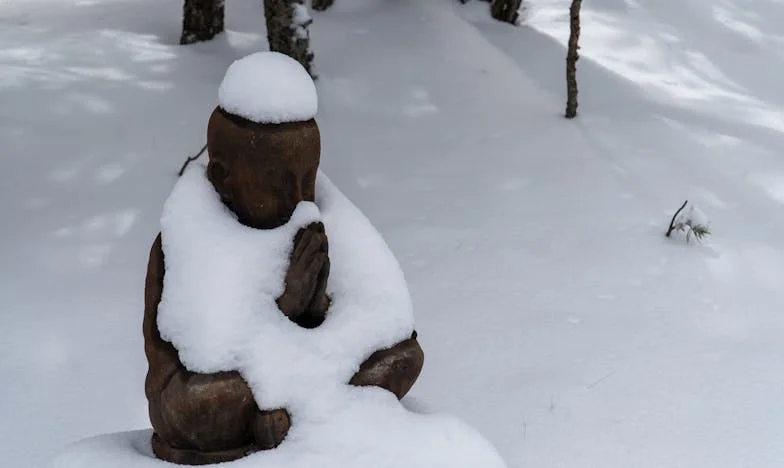 Je ne suis pas infirmière : Comment j’ai tenté de retrouver ma vie dans une famille française