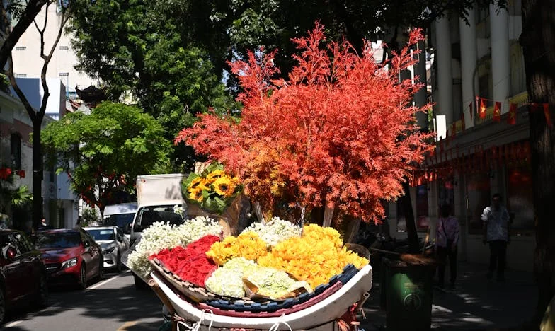 La Vérité d'une Mère : Quand l'Amour Ne Suffit Plus