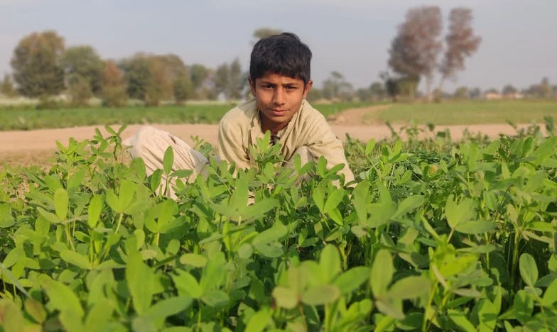 La Villa des Illusions : Mon Cœur Brisé à Versailles
