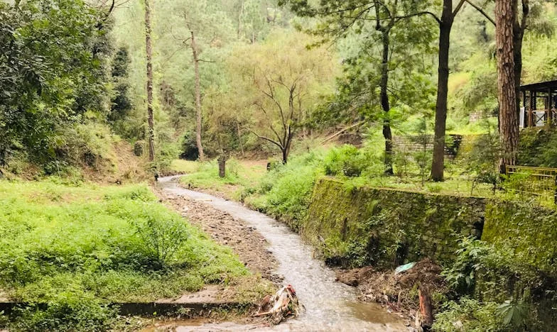 Ma fille a honte de moi parce que je suis pauvre : Histoire d’une mère de Lyon