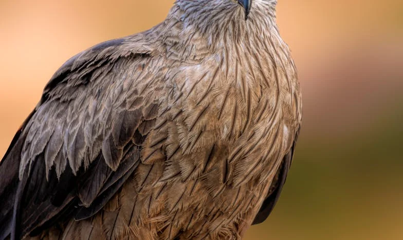 « Mon fils ne sera pas domestique dans cette maison ! » – L’histoire d’une famille entre attentes et rêves