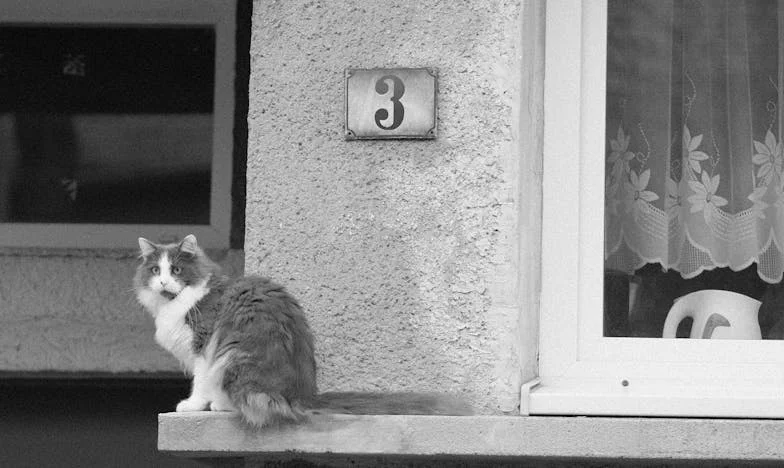 « Ne comptez pas sur nous, débrouillez-vous ! » – Quand ma belle-mère a exigé notre aide après nous avoir tourné le dos