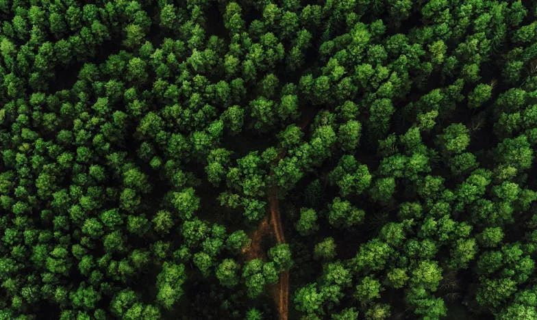 Quand la maladie de ma fille a tout révélé : Le récit d’un père brisé et reconstruit