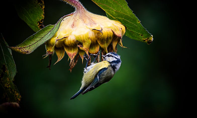 Quand la vérité fait mal : Histoire d'une trahison, d'une amitié et d'un enfant