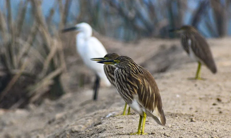 Quand le passé refuse de s'effacer : Comment la nouvelle compagne de mon ex-mari a bouleversé ma vie