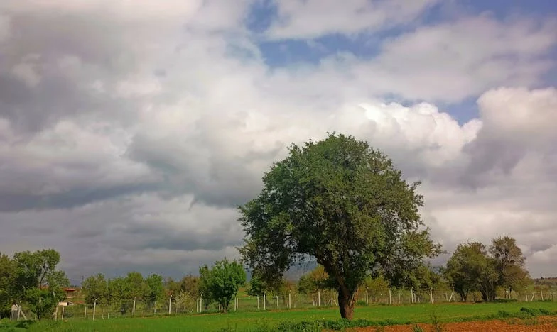 Quand mon fils Théo a ouvert la porte aux policiers : Fuir l’enfer familial