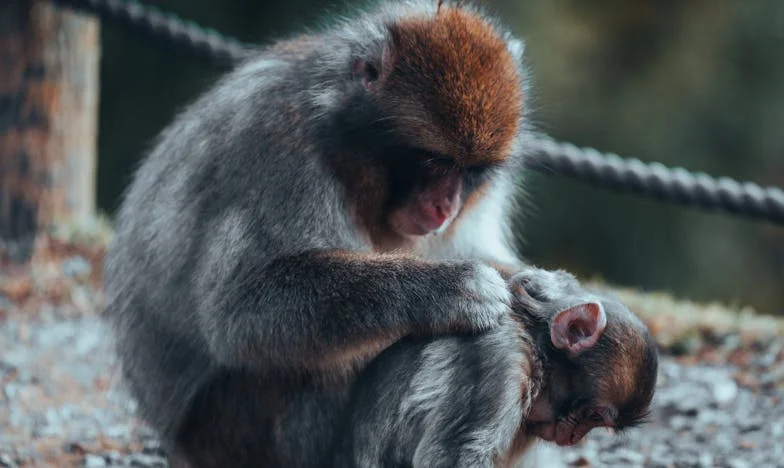 Quand mon mari est parti en déplacement, ma belle-mère m’a mise à la porte : histoire d’une trahison et d’un courage inattendu