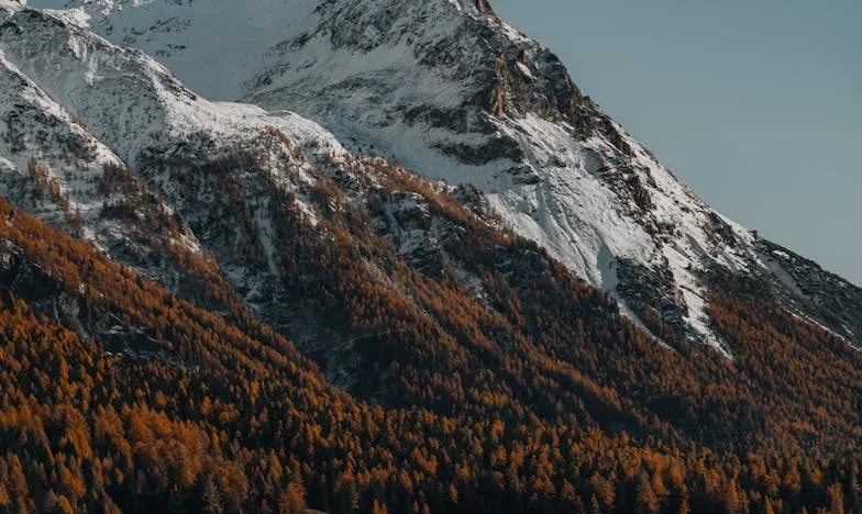 Sur la marche froide : Fuir l’ombre, chercher la lumière