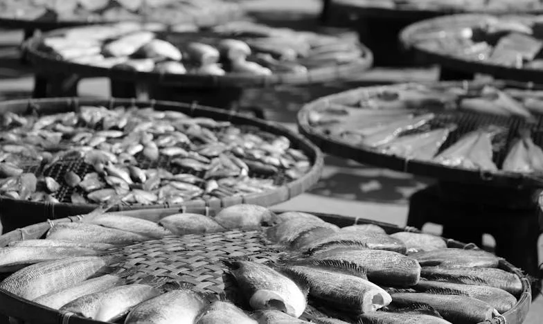 Trahison derrière la haie : Mon histoire de confiance brisée dans un village français