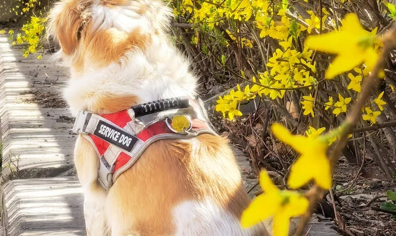 Un doute dans la lumière : Quand mon fils est devenu un étranger