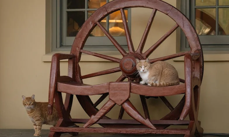 Une minute de retard : Ma vie avec ma belle-mère, la Générale