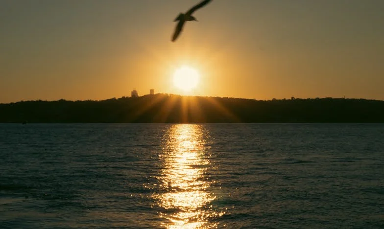 Vacances volées : quand l’amour familial se heurte à la réalité