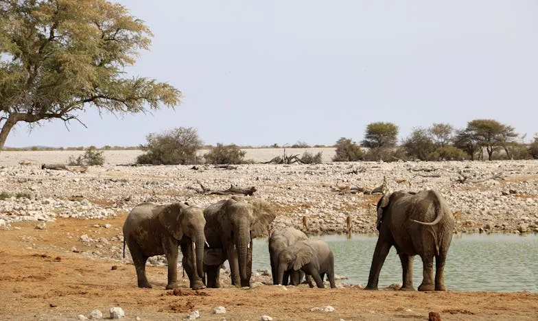 Vingt ans de mensonges : La double vie de mon mari révélée par un simple appel