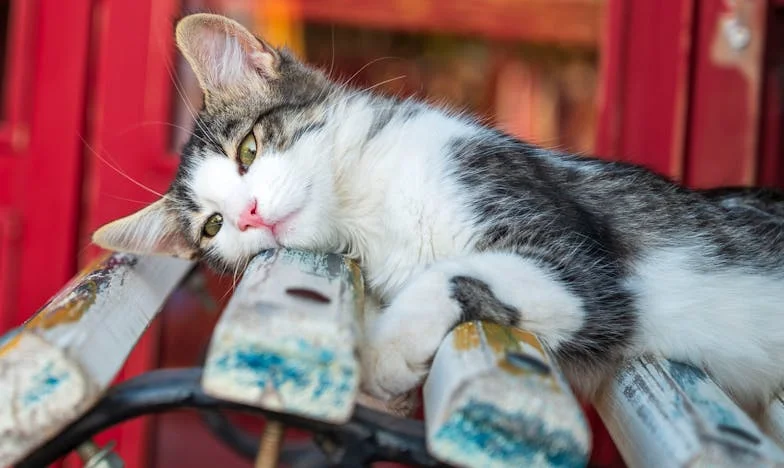 « Je n’ai pas supporté de voir ma fille humiliée » : Une semaine chez elle a tout changé