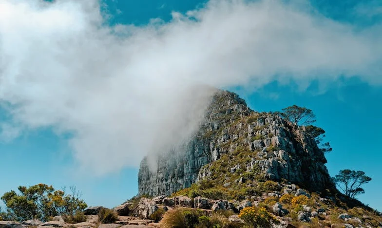 Le poids de la garde : Quand la paternité à plein temps devient une épreuve