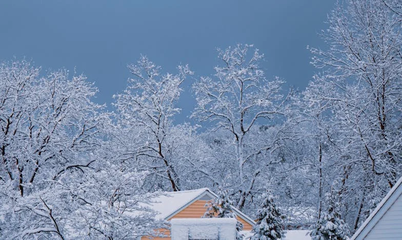 Le silence qui nous brise : l’histoire d’une grand-mère absente