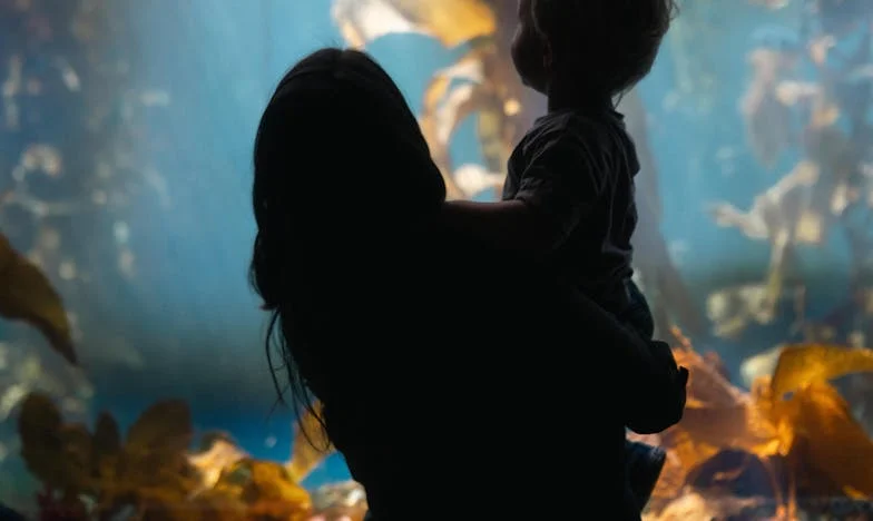 Les Cris Incessants de l’Appartement 3B : Le Secret qui a Déchiré notre Immeuble