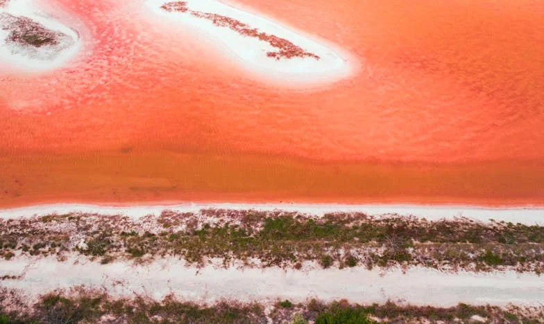 Les Oreilles de la Honte : L’histoire de Paul et la Quête de Confiance