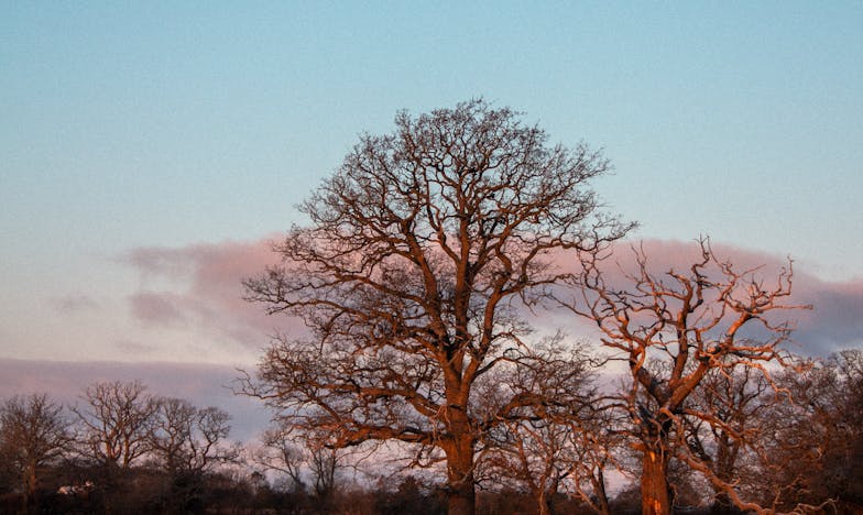 Ma maison, leur royaume : quand mon fils m’a volé ma vie