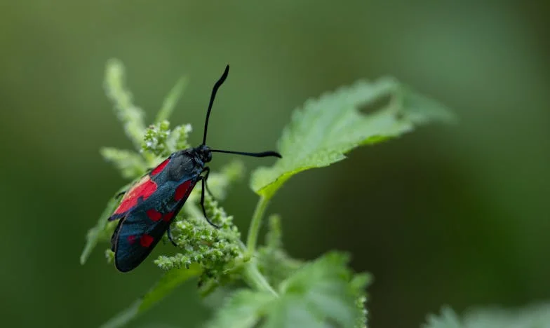 Ma petite Camille en robe Chanel : Suis-je vraiment une mauvaise mère ?