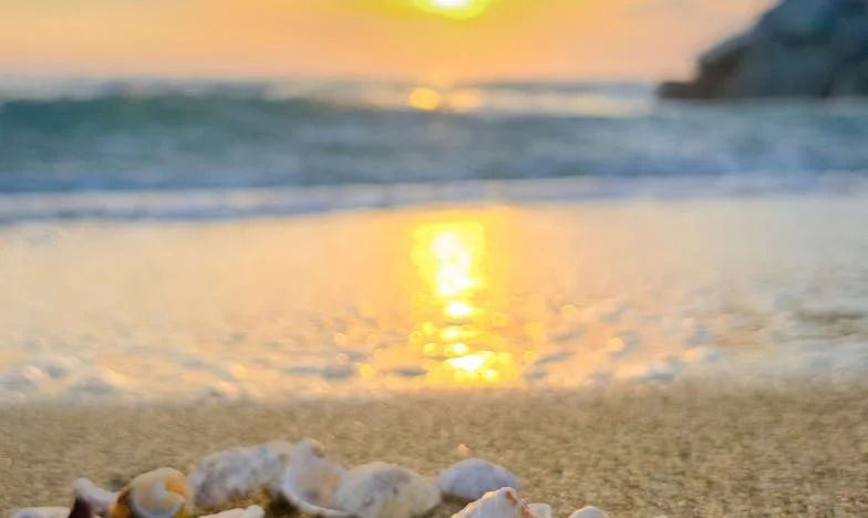 Quand la gentillesse devient un fardeau : Mon histoire avec ma belle-mère française