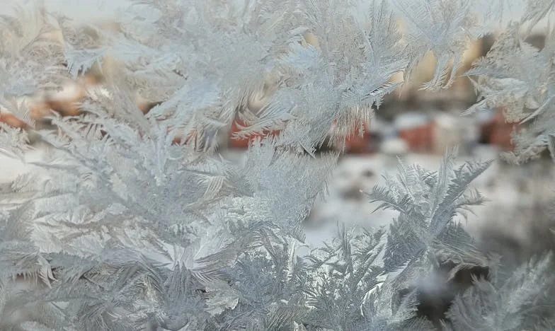 Quand les secrets dérobent la paix : L'histoire de la trahison de ma propre sœur