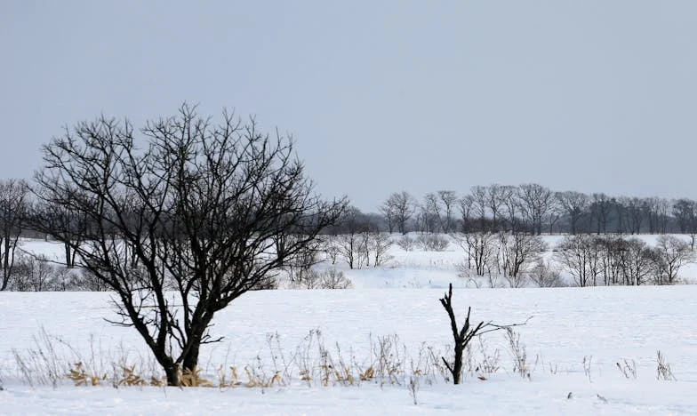 Reflets brisés : Douze ans de mensonges