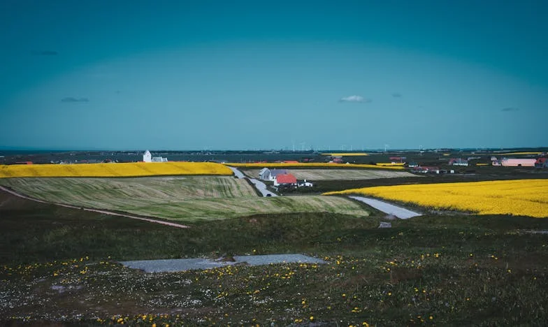 Cinq ans sur mes épaules : Le jour où j'ai demandé de l'aide à mon mari