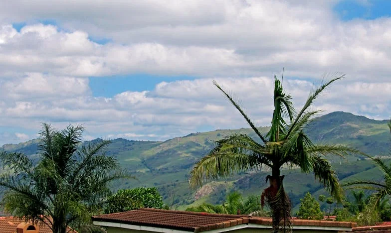 Deux cœurs, un choix : Histoire d'une adoption française