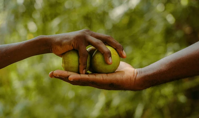 Entre deux silences : L’histoire d’une grand-mère invisible