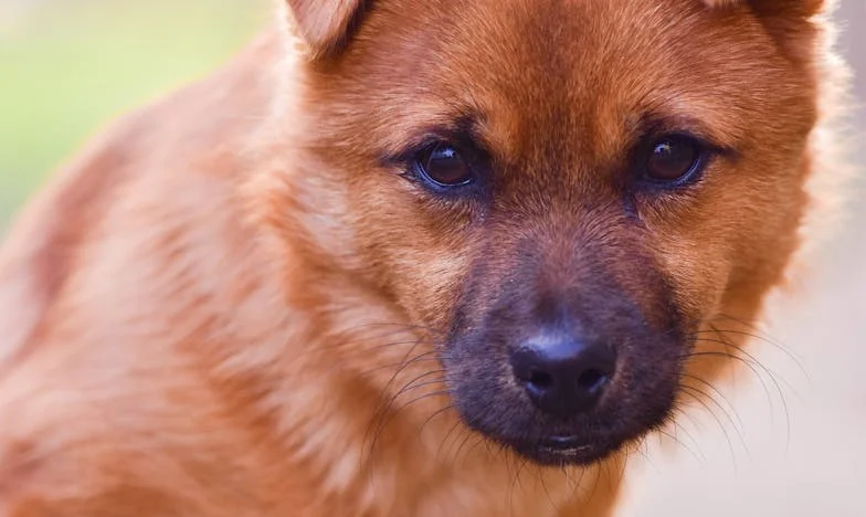 La promesse brisée : Comment une décision de ma mère a bouleversé ma vie après le mariage