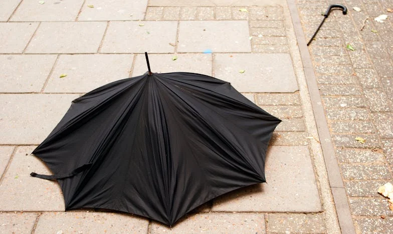 Le parfum du passé : une rencontre bouleversante dans un café parisien