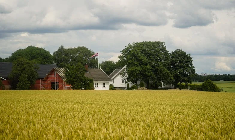 Mamie ou bonne à tout faire ? Une semaine qui a bouleversé ma vision de la famille – l’histoire de Marie de Nantes