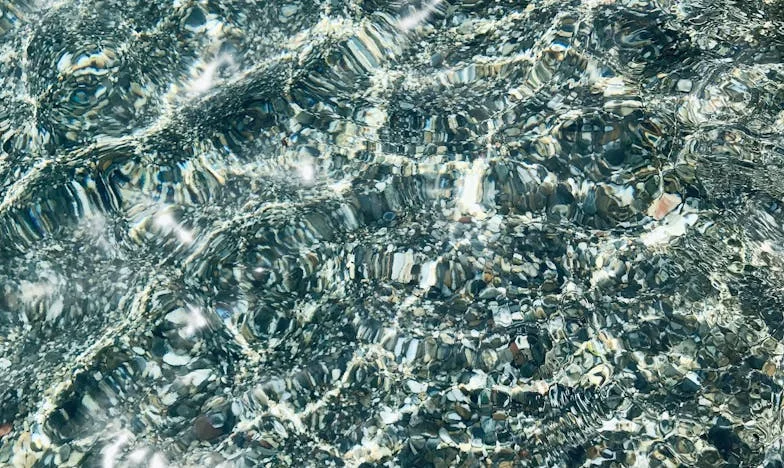 Si tu oses encore insulter ma femme, tu ne seras plus la bienvenue ici