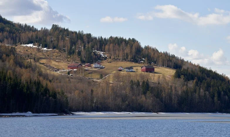Sous le même ciel : Histoire d’une mère célibataire à Lyon