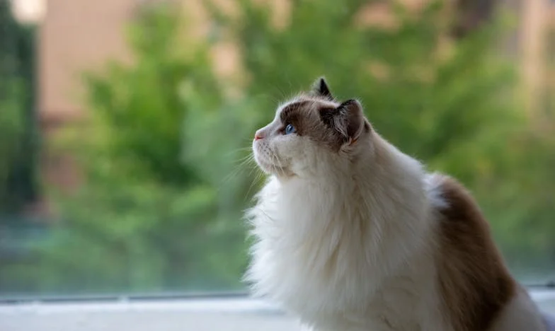 Babka zostawiła nam dom, ale mama nie pozwoliła nam w nim żyć po swojemu. Czy rodzinna miłość przetrwała tę próbę?