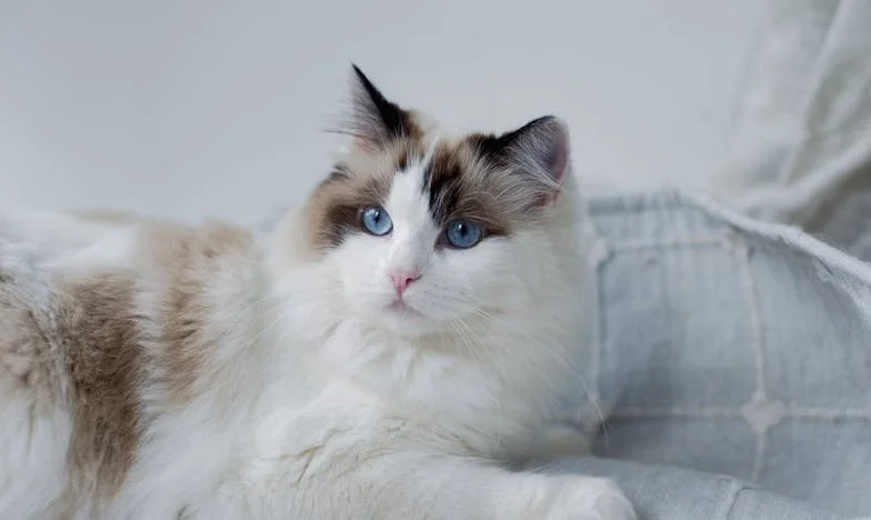 "Czy naprawdę jestem złą teściową? Historia o tym, jak opieka nad wnukiem zamieniła się w rodzinny dramat"