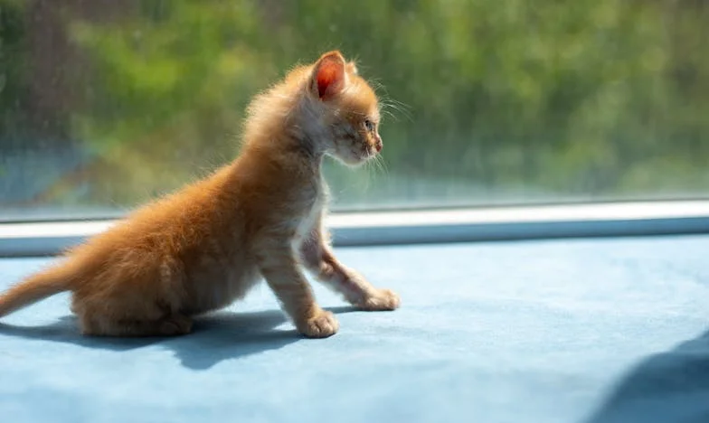 Miłość, która zgasła w cieniu codzienności: Historia Magdy i Artura