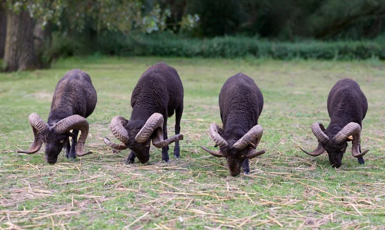 "Nie chcę być tułaczem!" – Historia o tym, jak walczyłam o dom dla mojego brata i rodzinę, która nie chciała słuchać