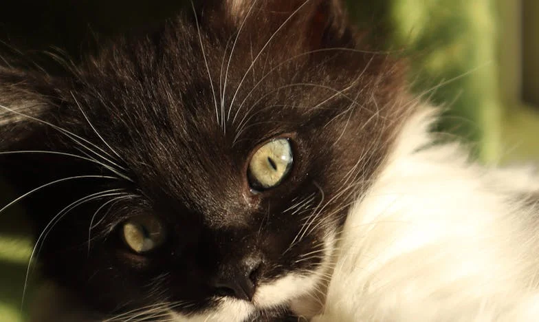 Dlaczego nikt do mnie nie zadzwonił? – Historia jednej rodzinnej uroczystości, która zmieniła wszystko