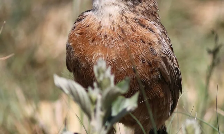 Mąż zostawił mnie po 25 latach dla młodszej. Myślałam, że to koniec – a jednak odnalazłam siebie na nowo